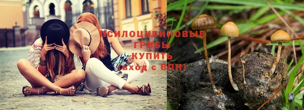 молекула духа Балахна