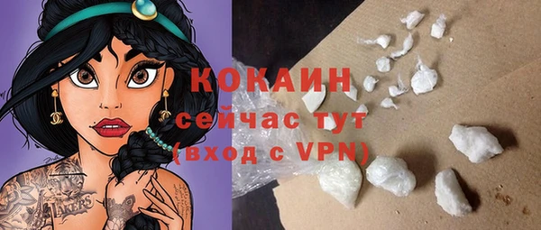молекула духа Балахна